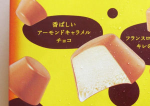 2016年8月発売-ピノ-香ばしアーモンドキャラメル-箱裏2
